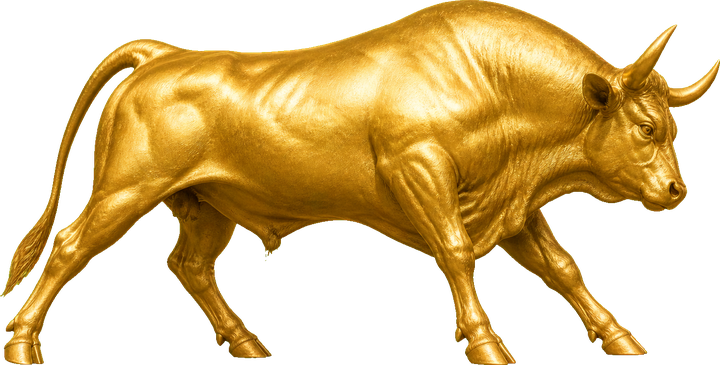 Bull